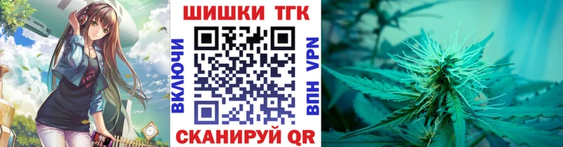 купить наркотики сайты  Каргополь  Конопля сатива 
